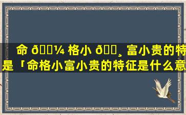 命 🌼 格小 🌸 富小贵的特征是「命格小富小贵的特征是什么意思」